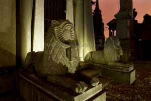 _june 2017 undercliffe cemetery 1a.jpg